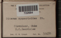Image Associated With the Occurence